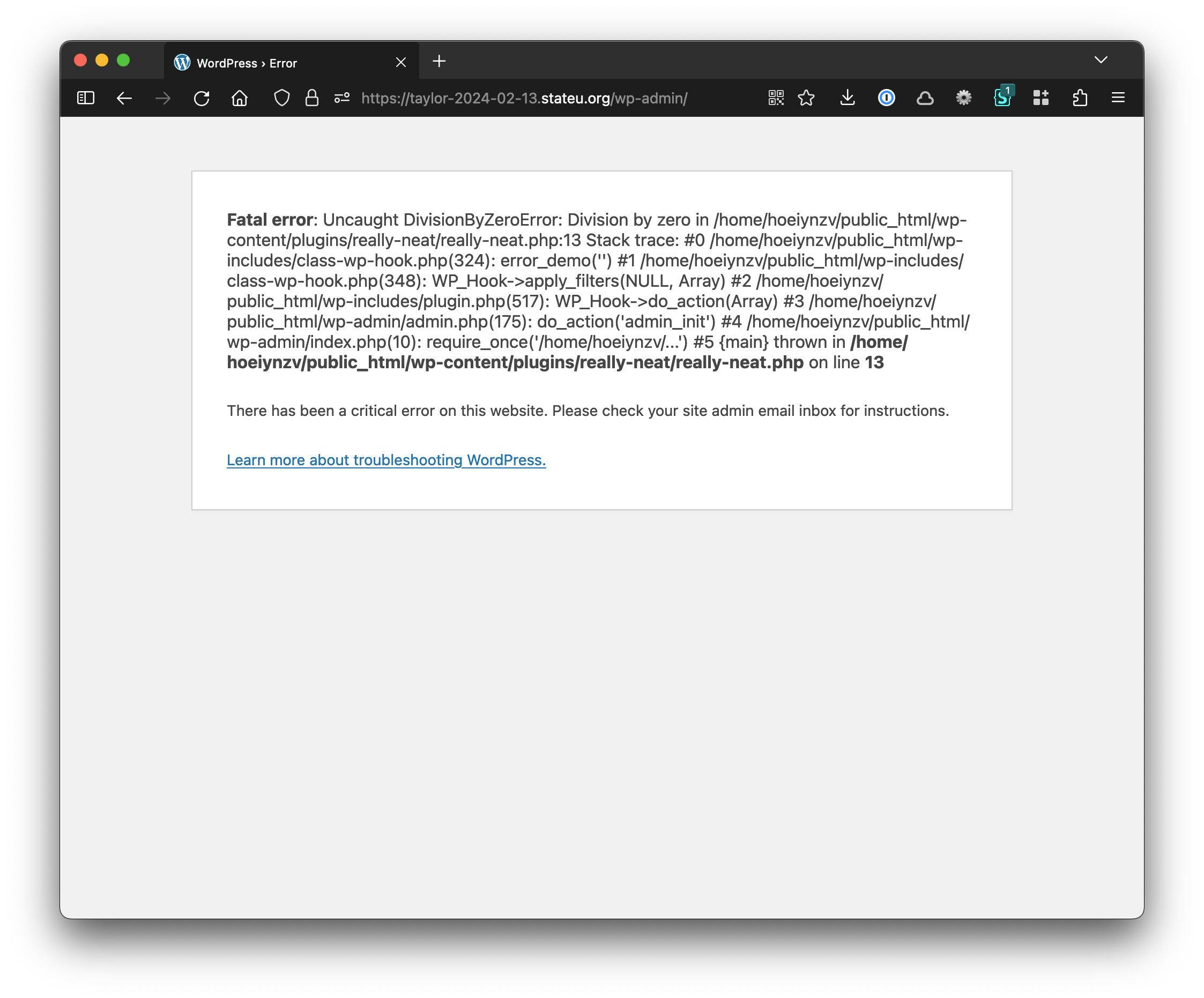 a screenshot of a broken wordpress site with a error of the type DivideByZero