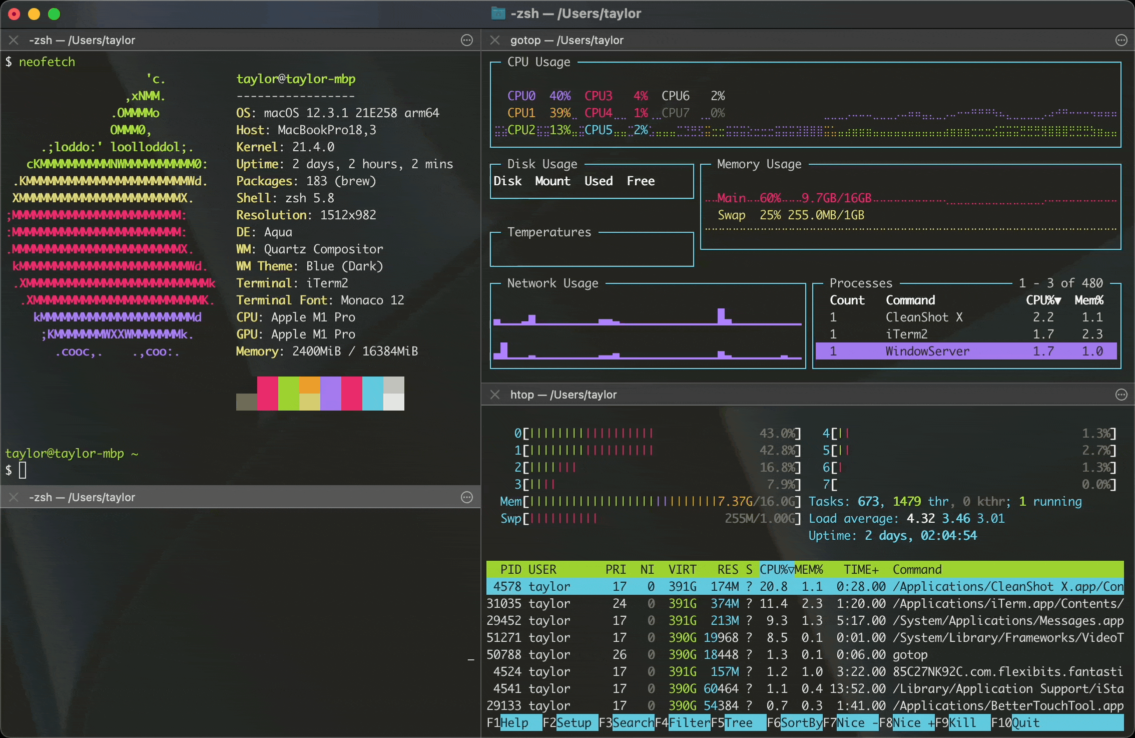 Screenshot of a terminal window with 4 panes, neofetch, gotop, htop, and sl clockwise starting from the top left, lots of nonsense